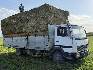 1kr fe: Mercedes-Benz : 1994 г., 6 л, Механика, Дизель — 4