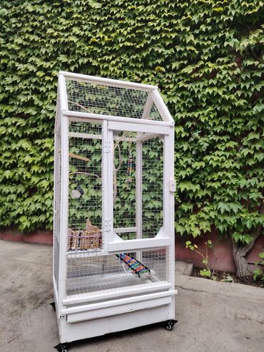 Qəfəslər: Əl işi taxda qəfəs qiyməti 160 azn real alıcılara endirim etmək olar — 3