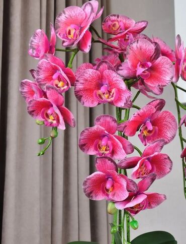 Декоративные цветы: Орхидея искусственная для декора в керамическом горшке Орхидея — 29