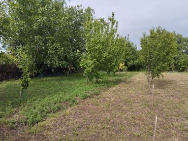 Həyət evləri və villaların satışı: 6 otaqlı, 225 kv. m, Kredit yoxdur, Orta təmir -da lalafo.az — 2 Həyət evləri və villaların satışı: 6 otaqlı, 225 kv. m, Kredit yoxdur, Orta təmir — 2