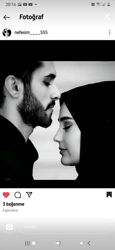 landşaft dizayn: Rəsm əsərləri, portretlər — 1