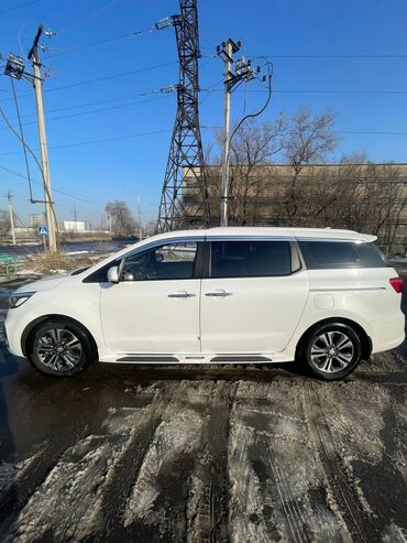 Kia: Kia Carnival: 2019 г., 2.2 л, Автомат, Дизель, Минивэн