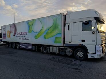 Tırlar: DAF XF traktor + soyuduculu yarımqoşqu - Marka/model: DAF XF (çekici) — 8