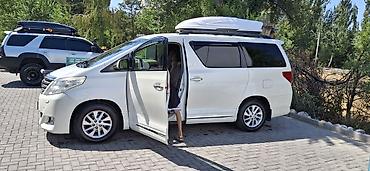 алфа: Toyota Alphard: 2012 г., 3.5 л, Автомат, Газ, Минивэн — 3
