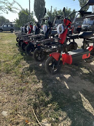 Скутеры: Веломопед 500 куб. см, Электро, Новый — 4