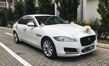 #Jaguar#Toy #Nişan və digər #tədbirlər üçün #sifariş edə bilərsiz lalafo.az -da #Jaguar#Toy #Nişan və digər #tədbirlər üçün #sifariş edə bilərsiz