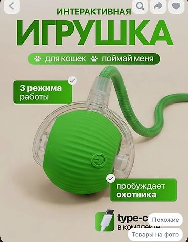 таксы даром: Отдам подвижную игрушку для животных. РАБОЧАЯ! Вместе с проводом — 3
