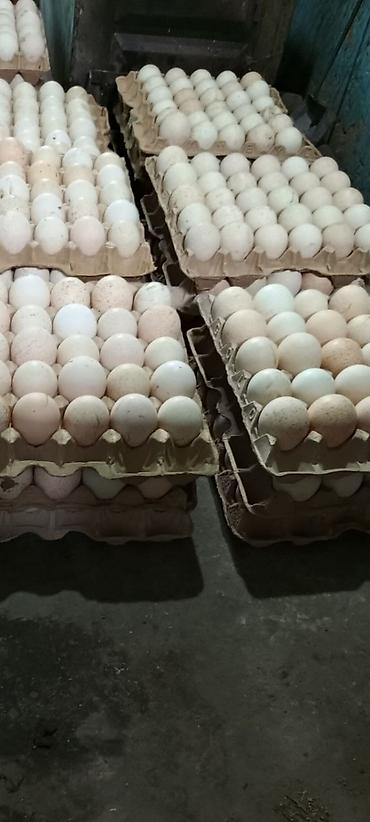 Уход за телом: ПРОДАЮ Мочалки . Ручная вязка, массажный эффект, легко пенится — 6