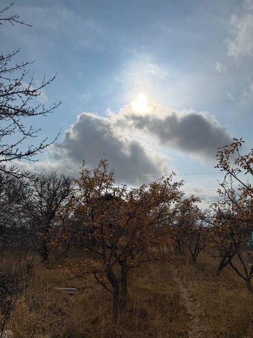 Продажа домов: Дом, 47 м², 2 комнаты, Собственник — 14