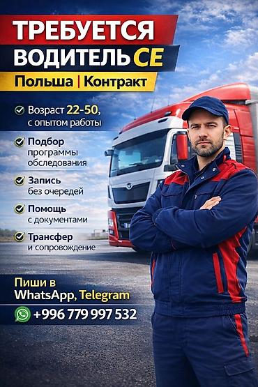 польский язык: Требуется Водитель грузового транспорта, Категория прав (CE), На фуру, Официальное трудоустройство, Мужчина — 1
