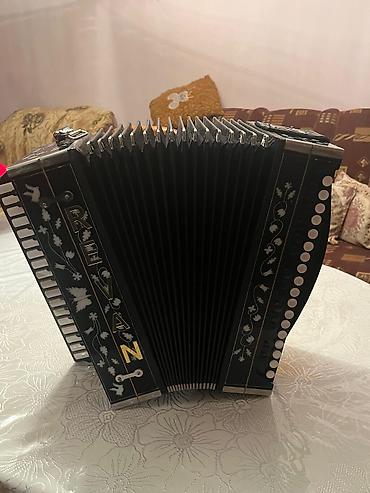 Akkordeonlar: Akustik Akkordeon — 7