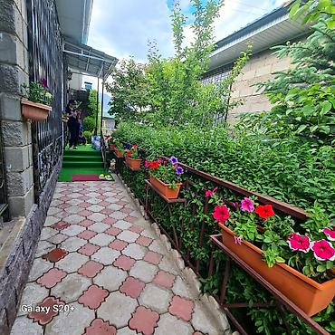 пицы: Уютный частный коттедж в центре отдыха Париж что находится в селе — 3