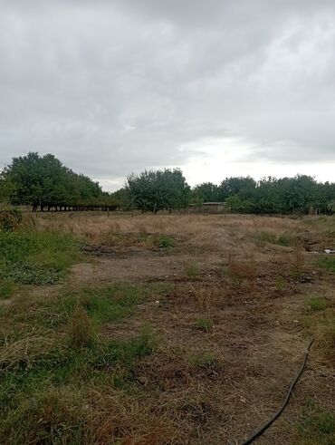 Həyət evləri və villaların satışı: 6 otaqlı, 130 kv. m, Kredit yoxdur, Yeni təmirli — 12