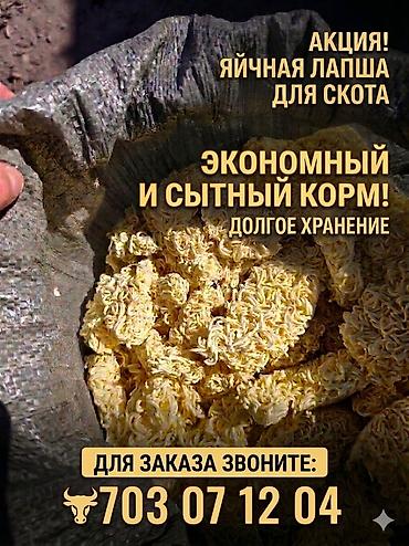 кормовой марковка: Яичная лапша для скота — экономичный и сытный корм. - Назначение — 2