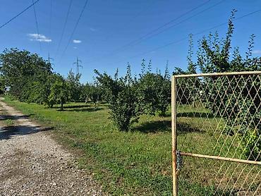 Kuće na prodaju: Na prodaju salaš – Rumski drum 69a, Sremska Mitrovica Na prodaju — 16