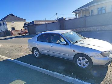 Nissan: Nissan Primera: 2000 г., 2 л, Автомат, Газ, Седан — 1