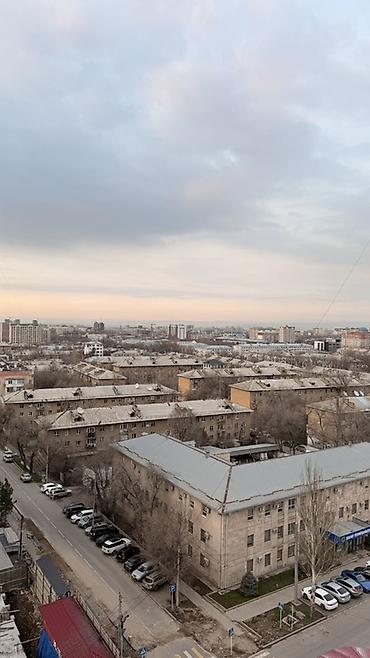 Ковры и паласы: Ковер 400 * 300 — 19