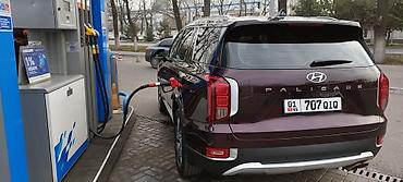 Hyundai: Hyundai Palisade: 2020 г., 3.8 л, Автомат, Бензин, Внедорожник — 15