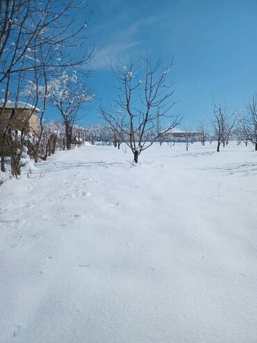 sabirabad torpaq: 10 sot, Tikinti, Mülkiyyətçi, Kupça (Çıxarış)