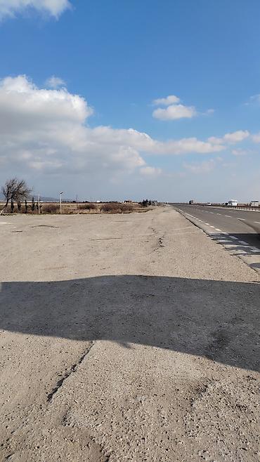 Torpaq sahələrinin satışı: Biznes üçün — 3