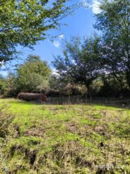 Həyət evləri və villaların satışı: Lerikin Noda kendinde. Heyet evi satilir. asfalta 2 degigelik yol — 6