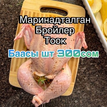 оборудование кафе: Маринадталган тооктор бизде Томондогу номерлерге байланышсаныздар