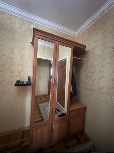 Распашной, 2 двери Прямой шкаф, Шкаф в прихожей