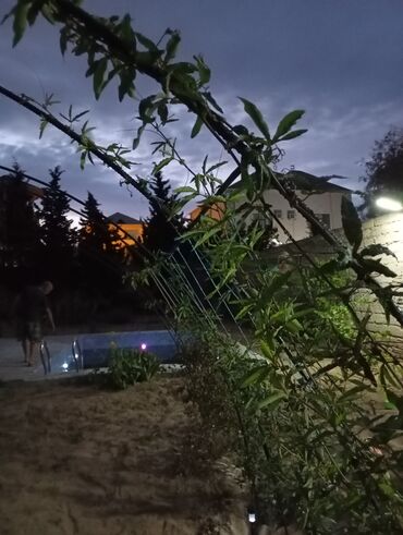 Günlük kirayə evlər: 160 kv. m, 3 otaqlı — 16