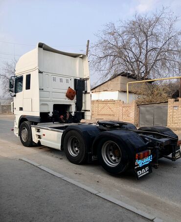 Тягачи: Тягач, DAF, 2005 г., Без прицепа — 6