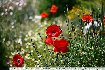 киномо: 1. Профессиональная камера Canon 5D III в аренду для сьемки фото и — 6