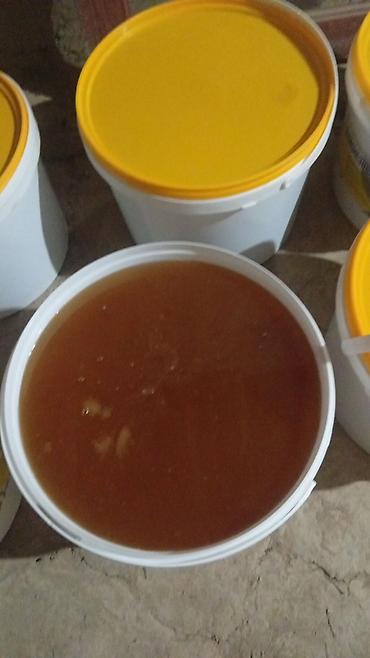малиновое дерево эльбрус: 100% Таза БАЛ 🍯 сатылат оптом 10 кг өйдө 400 дон,местный Талас облусу — 4