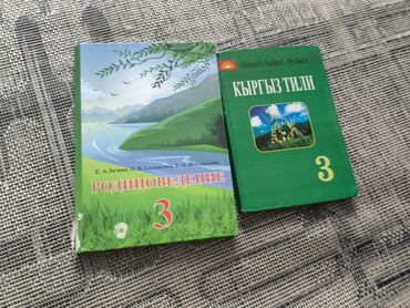 сони 3 диск: Книги для 3 класса
