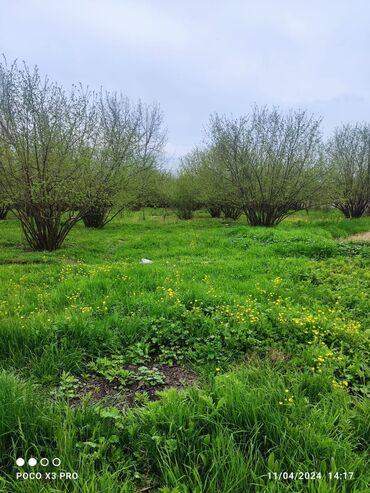 Torpaq sahələrinin satışı: 18 sot, Tikinti, Mülkiyyətçi, Kupça (Çıxarış) — 3