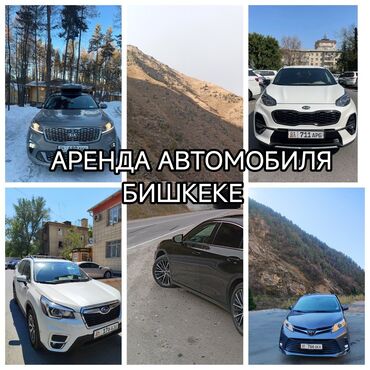 тоета витц: Сдаю в аренду: Легковое авто, Частная аренда