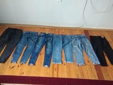 cins kurtkalar qadin: M razmer cinsler biri 6m