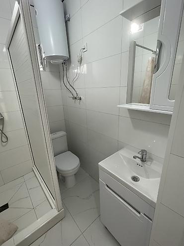 Аренда домов: 40 м², 2 комнаты, ул. Тоголок Молдо / Куренкеева, Без животных — 5