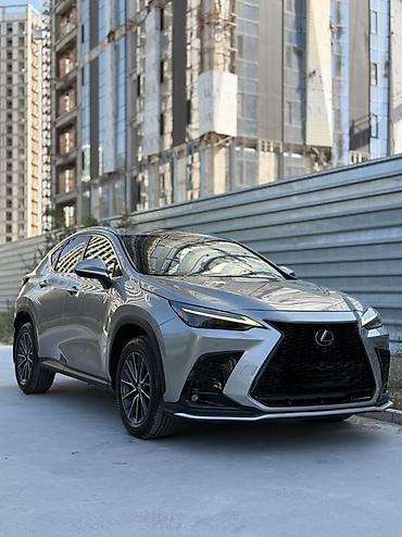 куплю на лексус: Lexus NX: 2023 г., 2.4 л, Автомат, Бензин, Кроссовер — 1