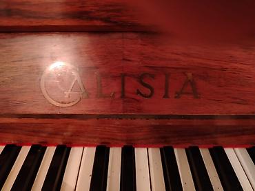 Musiqi alətləri: Pianino ALİSİA. İşlək vəziyyətdə — 3