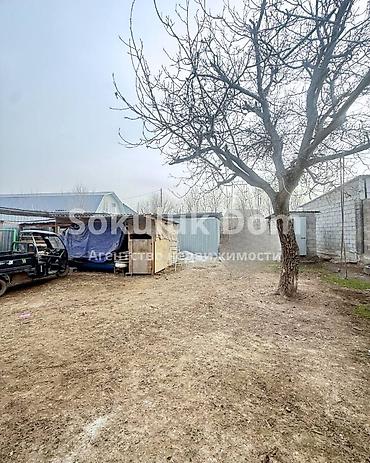 Продажа коттеджей и домов: 🏠Продается дом с бизнесом в с. Кожомкул (Военно-Антоновка) 🟡Комнаты: 4 — 5