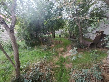 Torpaq sahələrinin satışı: 2 sot, Biznes üçün, Mülkiyyətçi — 6