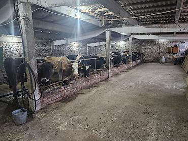 Продажа дач: Продажа дач at lalafo.kg — 10 Продажа дач: Продажа дач — 10