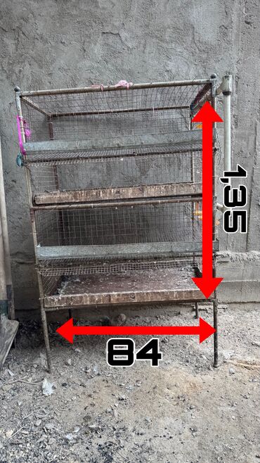 Товары и оборудование для с/х животных: Продается клетка для перепел — 2