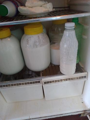 Молочные продукты и яйца: Козье молоко 200 сом продаю доиных коз.от 55 ты 65.и 80.тыс элита от — 4