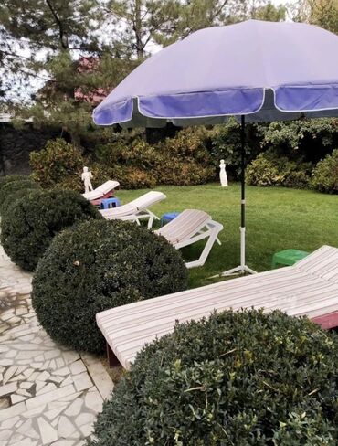 Долгосрочная аренда домов: 500 м², 2 комнаты, Евроремонт — 4