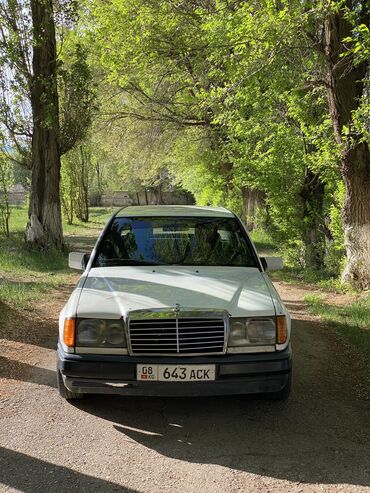 авто из белоруссии: Mercedes-Benz W124: 1989 г., 3 л, Механика, Дизель, Седан