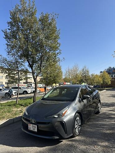 lexus 560: Toyota Prius: 2020 г., 1.8 л, Вариатор, Гибрид, Хэтчбэк — 1