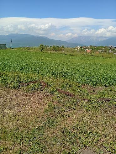 xirdalanda torpaq sahesi satilir: 12 sot, Tikinti, Mülkiyyətçi, Kupça (Çıxarış), Texniki pasport — 5