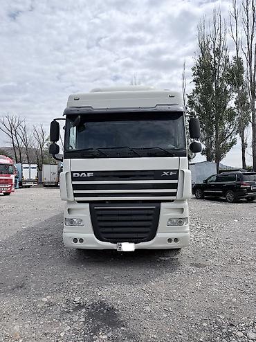 Тягачи: Тягач, DAF, 2013 г., Шторный — 10