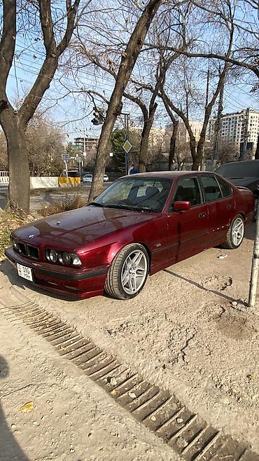 BMW: BMW 525: 1991 г., 2.5 л, Автомат, Бензин, Седан — 18