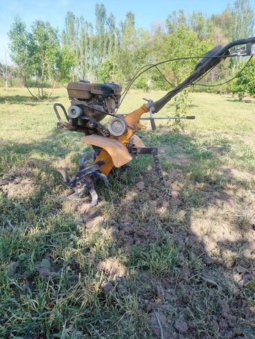 травит тараканов: Уборка территории, Уборка двора и сада